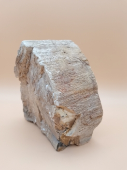 Preview: Australischer Holzopal